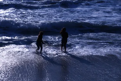 DSC_0474 (Large).JPG